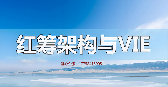 VIE架構