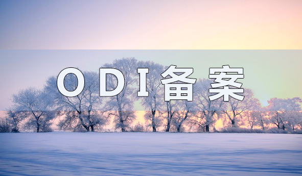 VIE架構搭建